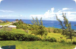 barbados landscape