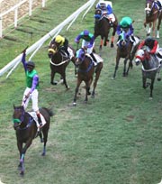 Barbados Gold Cup