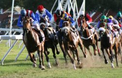 Barbados Turf Club - Horse Racing at the Garrison Savannah