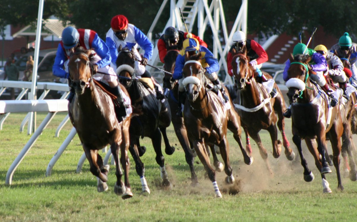 Barbados Turf Club - Horse Racing at the Garrison Savannah