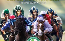 Next Raceday is March 15th, 2025 - Barbados Turf Club Horse Racing